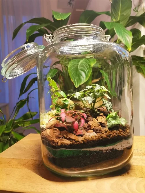 Terrari - foto 2
