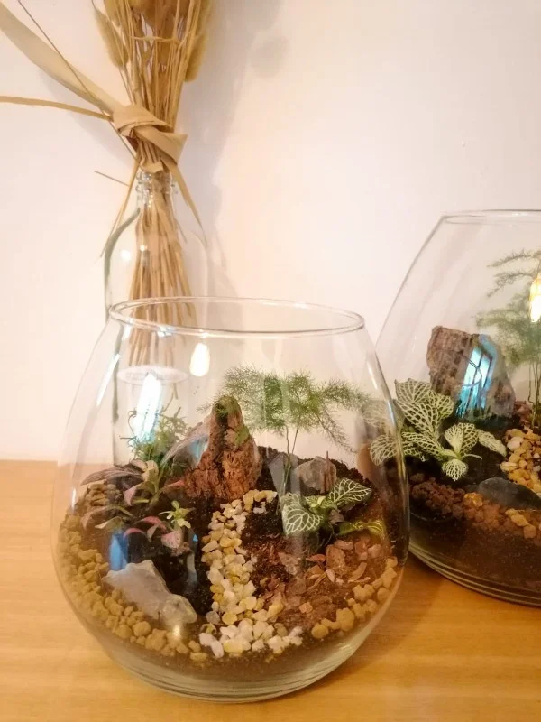 Terrari - foto 6