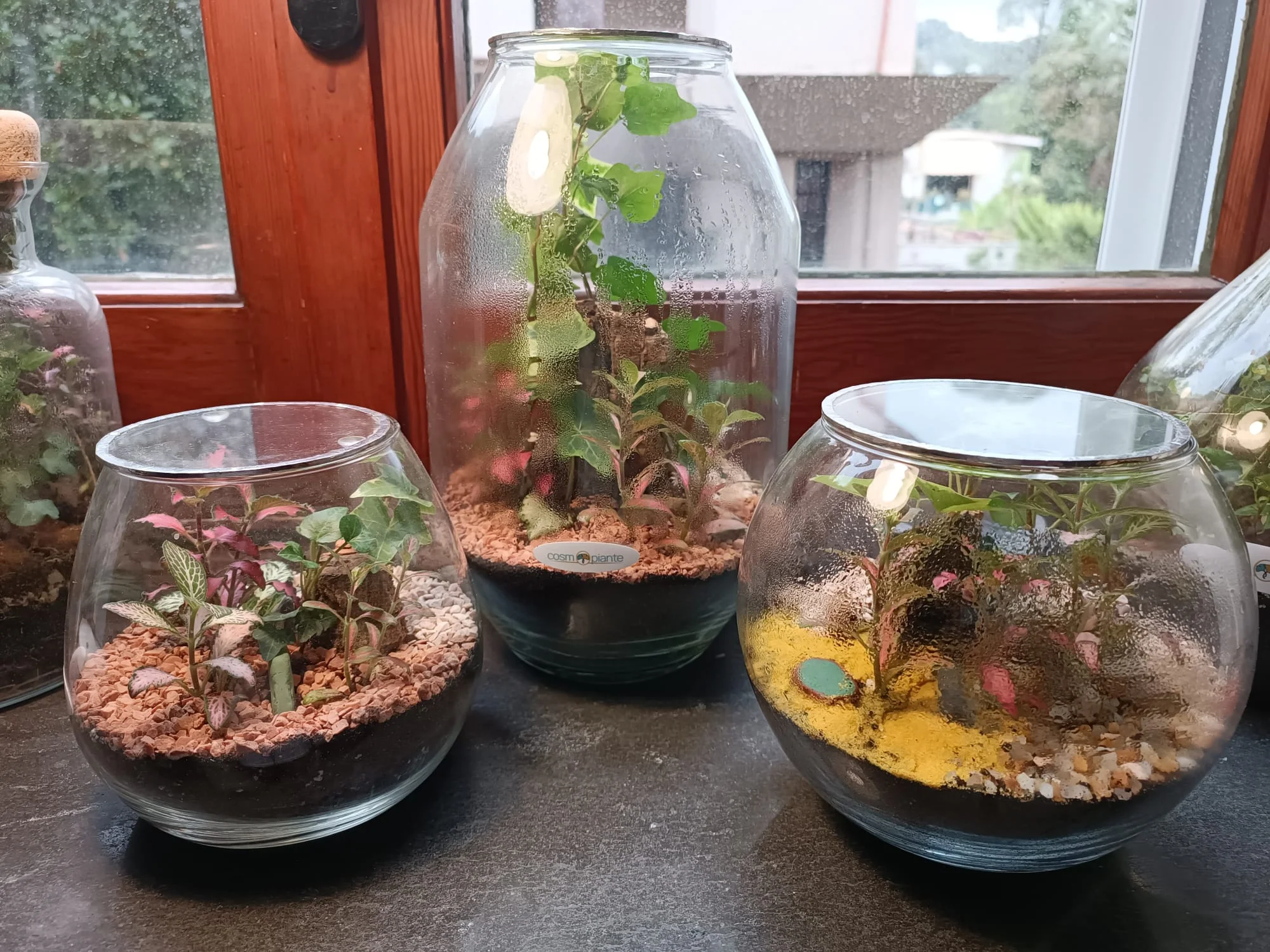 Terrari - foto 18