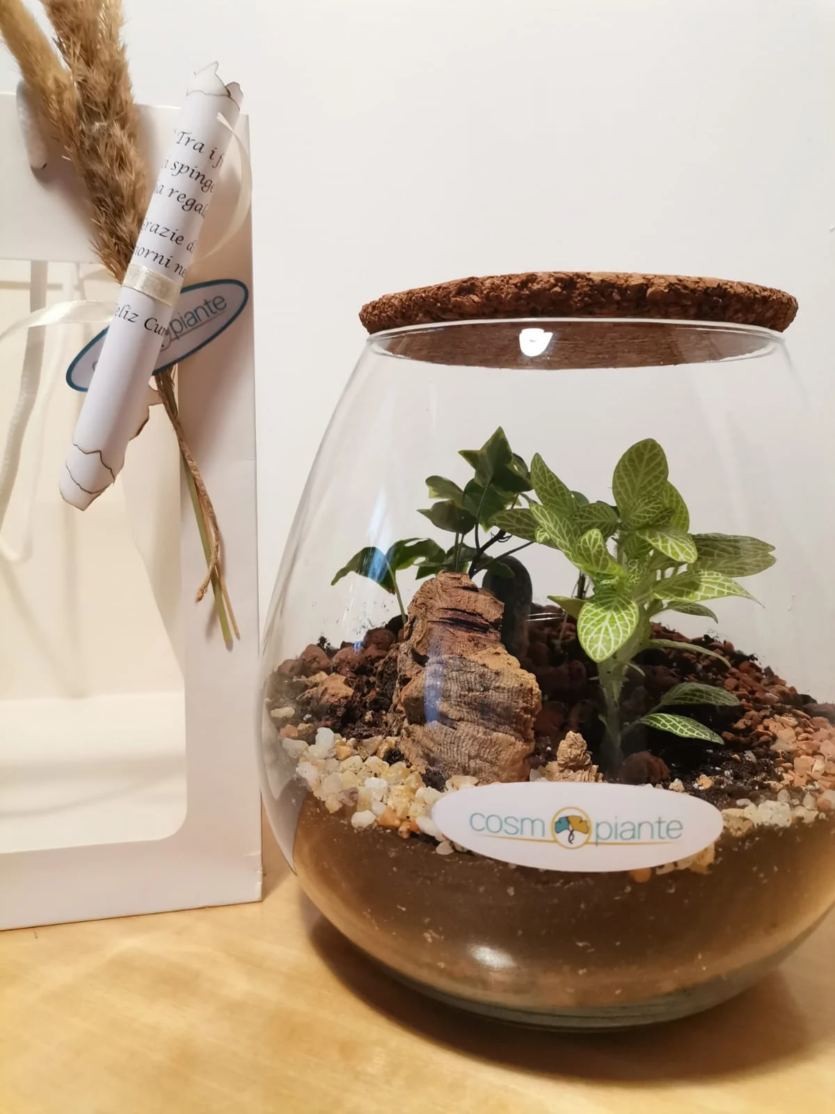 Terrari - foto 20