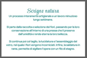 FESTIVAL DEL VERDE 2026